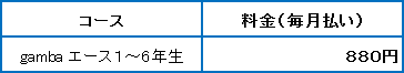 ganba エース 料金表